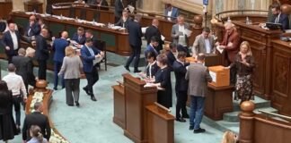 Noua conducere a Institutului Cultural Român, aprobată de Senat