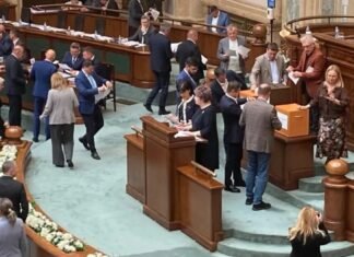 Noua conducere a Institutului Cultural Român, aprobată de Senat