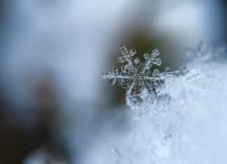 Previziuni meteo pentru iarna 2026-2027: Vești îngrijorătoare pentru români! Ce trebuie să știe!