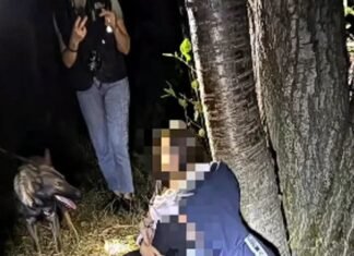 Doi copii de 13 ani dispăruți în Vâlcea, găsiți grație câinelui poliției Luna. Unde se ascundeau?