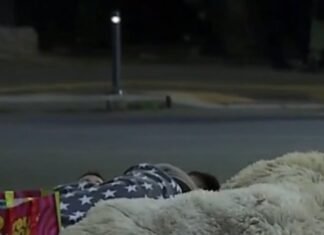 Protestul fermierilor continuă: Oierii au petrecut noaptea pe asfalt în Piaţa Victoriei.