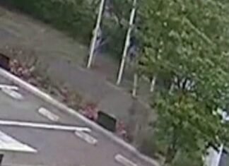 Urs atacă un bărbat de 55 de ani în Brașov. Soția lui reușește să scape în ultima clipă